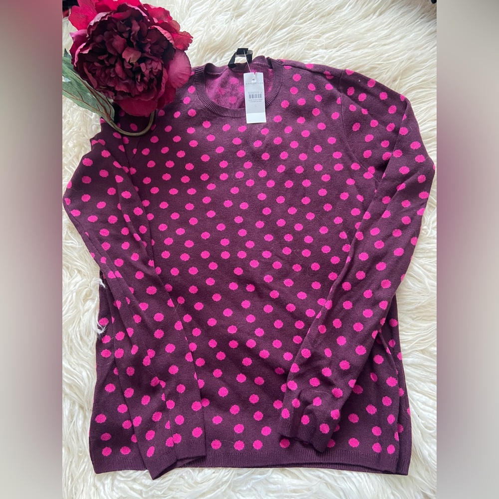 Ann Taylor Polka Dot Crew Neck Sweater